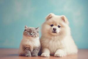 süß flauschige Katze und Hund Lügen zusammen. Haustiere auf Blau Hintergrund, Kopieren Raum. ai generiert. foto