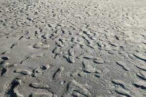 viele Schritte auf ein sandig Strand foto