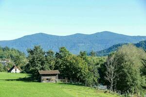 ein klein Kabine im das Mitte von ein Grün Feld foto