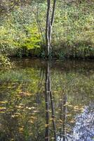 diese Fotos zeigt an ein Boot auf ein klein Teich mit Reflexionen im ein Bauern Dorf im Deutschland