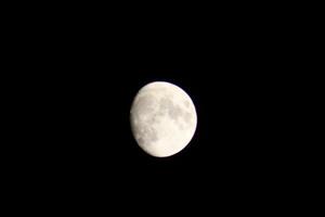 voll Mond hell im das fallen Himmel im pensacola Florida, vereinigt Zustände Oktober 23 2023 foto