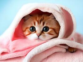 ai generiert süß Katze eingewickelt im ein Bad Handtuch ai generiert foto