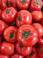 ein fesselnd Blick in das Welt von Tomaten foto