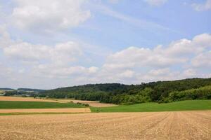 ein Feld mit ein gepflügt Feld und Bäume im das Hintergrund foto