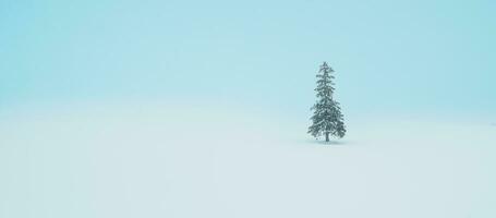 schön Weihnachten Baum mit Schnee im Winter Jahreszeit beim biei Patchwork Straße Wahrzeichen und Beliebt zum Sehenswürdigkeiten im Hokkaido, Japan. Reise und Ferien Konzept foto