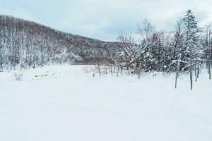biei Blau Teich mit Schnee im Winter Jahreszeit. Wahrzeichen und Beliebt zum Sehenswürdigkeiten im Hokkaido, Japan. Reise und Ferien Konzept foto