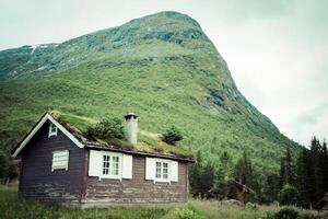 typisch norwegisch Haus mit Gras auf das Dach foto