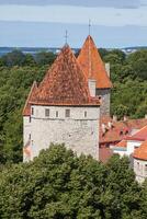 Aussicht von das alt Stadt, Dorf Tallinn, Estland foto