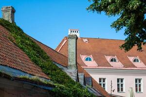 Aussicht von das alt Stadt, Dorf Tallinn, Estland foto