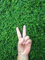 Mensch Hand und Fuß Zeichen auf Grün Gras Hintergrund vier Blatt Startseite foto