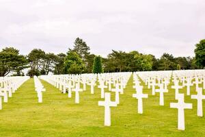 Reihen von Weiß Kreuze im ein grasig Feld foto