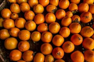 reif Orange Persimonen. auf das Tabelle im das Markt. ein Bündel von organisch Persimmon Früchte beim ein lokal Bauern Markt im dalat Stadt, Vietnam. Persimmon Hintergrund. eben legen. foto