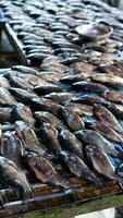 frisch Meeresfrüchte auf das Fisch Markt foto
