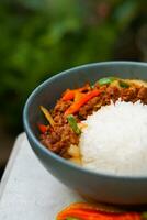 Rauch Rindfleisch mit Chili und Reis foto