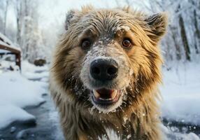 ai generiert enorm braun Bär im Winter Landschaft mit fallen Schnee foto