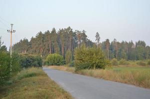 LKW-Spuren in Waldlandstraße abseits der Straße foto