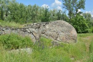 alte große Steine im Feld foto