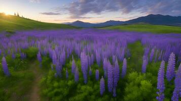 ai generiert Enthüllung der Natur lila Symphonie, ein grenzenlos Reise durch ein Meer von wild Lupinen. ai generiert foto