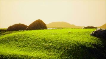 grüne Wiese im Hintergrund der Berge foto