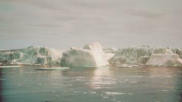 ein aktiv Kalben Gletscher mit Tierwelt foto