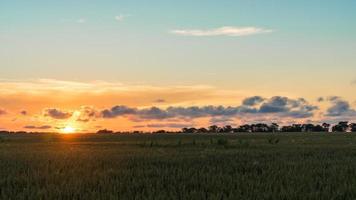 schöner Sonnenuntergang über dem Feld. Blagoweshenskaja, Russland. foto