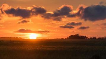 schöner sonnenuntergang über dem feld blagoveshenskaya, russland foto