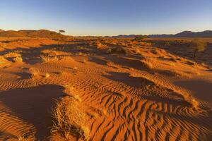 trocken Gelb Gras und Wind gefegt Muster im das Sand foto