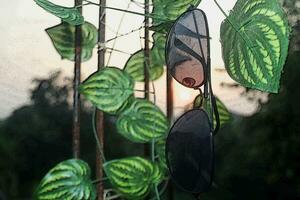 frisch auf ein heiß Sommer- Morgen, Sonnenbrille können Kommen Sie im praktisch zu schützen Ihre Augen im das schwül Hitze. foto