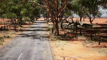 Western Afrika Autobahn Straße durch Savanne Wüste foto