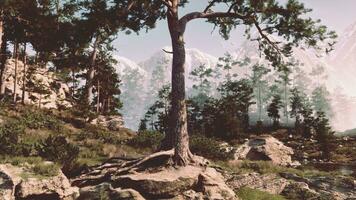 magisch Berge Sommer- felsig Landschaft foto