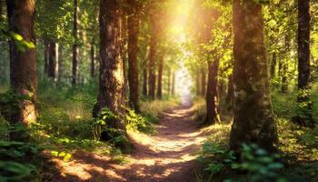 ai generiert Morgen im das Wald foto