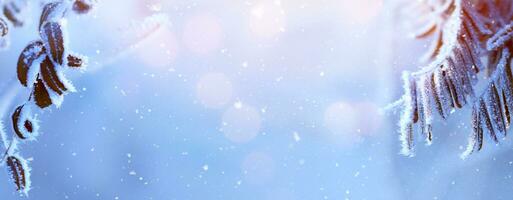 Kunst Winter Hintergrund mit schneebedeckt und vereist Geäst von Bäume auf schneebedeckt Blau Himmel Hintergrund. Weihnachten und Winter Konzept. foto