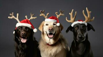ai generiert süß Hund heiser Wolf Hündchen mit Weihnachten Geschenk Kisten Konzept Foto Poster fröhlich Geschenk rot Neu Jahr
