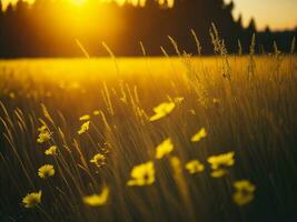 ai generiert abstrakt Sanft Fokus Sonnenuntergang Feld Landschaft von Gelb Blumen und Gras Wiese warm golden Stunde Sonnenuntergang Sonnenaufgang Zeit. still Frühling Sommer- Natur Nahansicht und verschwommen Wald Hintergrund. foto