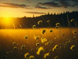 ai generiert abstrakt Sanft Fokus Sonnenuntergang Feld Landschaft von Gelb Blumen und Gras Wiese warm golden Stunde Sonnenuntergang Sonnenaufgang Zeit. still Frühling Sommer- Natur Nahansicht und verschwommen Wald Hintergrund. foto