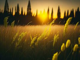 ai generiert abstrakt Sanft Fokus Sonnenuntergang Feld Landschaft von Gelb Blumen und Gras Wiese warm golden Stunde Sonnenuntergang Sonnenaufgang Zeit. still Frühling Sommer- Natur Nahansicht und verschwommen Wald Hintergrund. foto