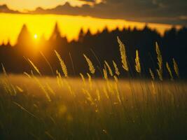 ai generiert abstrakt Sanft Fokus Sonnenuntergang Feld Landschaft von Gelb Blumen und Gras Wiese warm golden Stunde Sonnenuntergang Sonnenaufgang Zeit. still Frühling Sommer- Natur Nahansicht und verschwommen Wald Hintergrund. foto