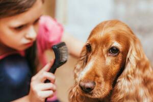 ein wenig Mädchen zu Pflege zum das Hund und Kämmen Haar foto