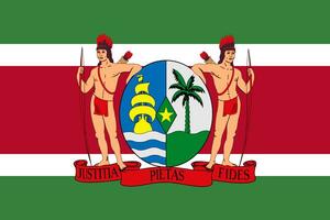 das offiziell Strom Flagge und Mantel von Waffen von Republik von Surinam. Zustand Flagge von Surinam. Illustration. foto