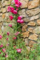 Peyrot, Beaumont, Ardèche, Frankreich foto