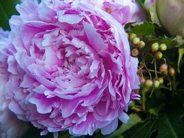 Strauß im Blumen foto