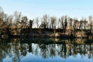 Bäume sind reflektiert im das Wasser von ein Fluss foto