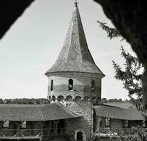 alt Backstein Mauer und Turm von das kamianetspodilskyi Schloss im Ukraine, schwarz und Weiß Foto Hintergrund