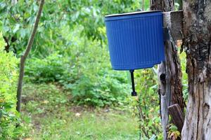 Plastik Waschbecken zum Hand Hygiene auf ein Baum im das Garten von ein ländlich Haus zum das Sommer- Jahreszeit im Russland. Vertikale Foto