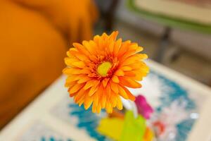 Orange Gerbera Blume. foto