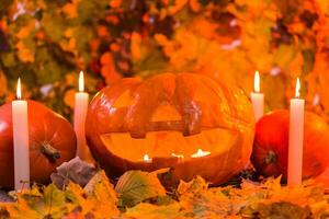 Kürbislaterne Halloween Kürbis mit Nebel Gießen von es ist Mund foto