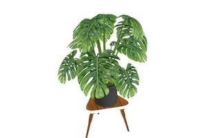 Monstera Blatt, tropisch botanisch Pflanze im stilvoll dekorativ Design isoliert auf leeren Hintergrund foto