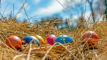 bunt Ostern Eier. beschwingt, festlich Urlaub Dekorationen symbolisieren Frühling Feier und traditionell aufwendig Designs foto