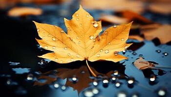 ai generiert beschwingt Herbst Farben reflektieren auf nass Ahorn Baum Geäst generiert durch ai foto