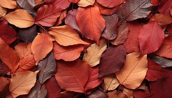 ai generiert Herbst Blatt auf alt hölzern Tisch, Natur rustikal Dekoration generiert durch ai foto